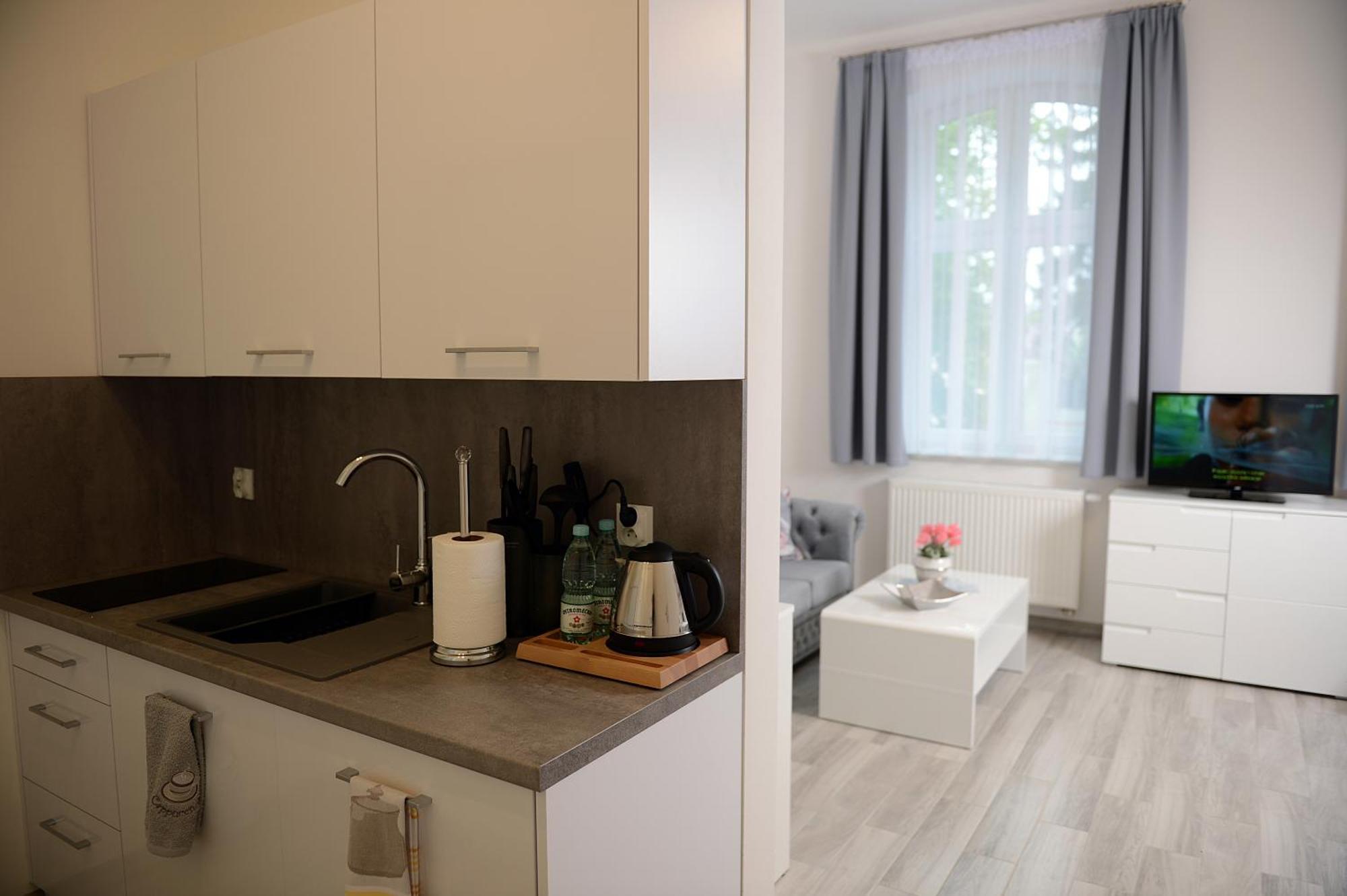 Apartmán Mysliwska - Biznes